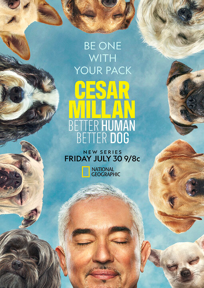 cmbhbdPoster